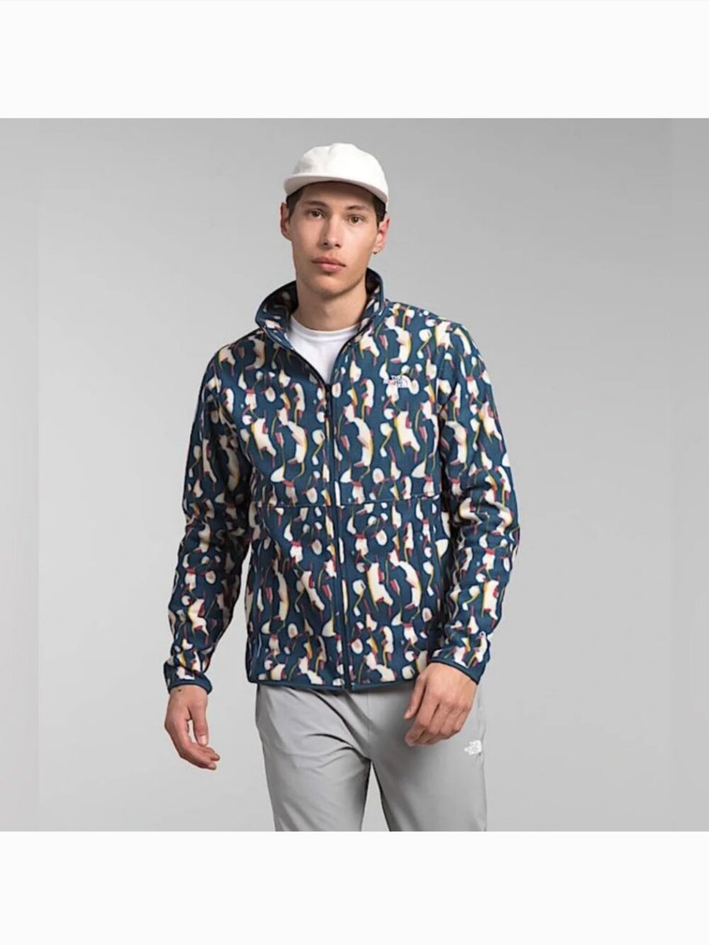 North Face Alpine Polartec 100 Fleece Jacket